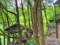 -巴倒烫陆派火锅山庄(南山总店)