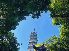 -苏州上方山国家森林公园