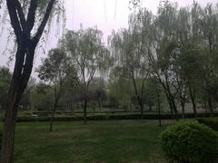 -唐城墙遗址公园