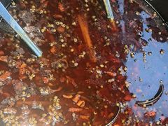 -蛙老爹·蜀香美蛙鱼头(王家湾店)
