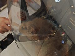 -贝康宠物医院·犬猫全科·小动物特色诊疗中心(东环路店)