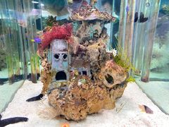 -太平洋海底世界