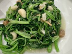 -粤珍轩·家宴·广式茶点(新城广场店)