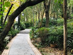-青城道汤池