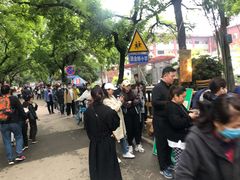 -马文章胖子甑糕(洒金桥店)