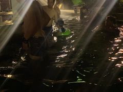 -江门古兜温泉小镇