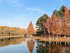 -白塘生态植物园