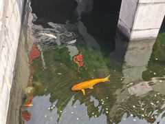 -长春观