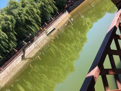 -尚庄度假村·庭台树下·户外烧烤·团建CS·轰趴营地(上庄水库店)