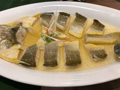 鸡油花雕蒸生态大黄鱼-麟1929(外滩店)