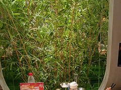 -和晟shèng铁锅炖·东北菜(南山店)