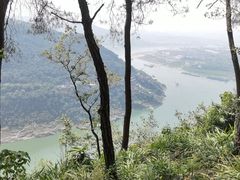 -铁山坪森林公园