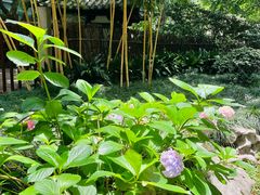 -静安公园(静安寺街道)