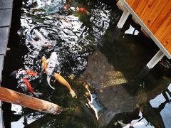 -上海大自然野生昆虫馆(东方明珠·爬宠昆虫探索中心)