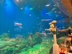 -涛·海底餐厅·美人鱼·自助餐·海底隧道(三亚海棠湾洲际度假酒店)