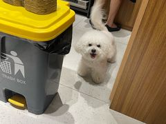 -MOI COFFEE(江山汇悦山府店)