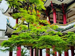 -集美学村