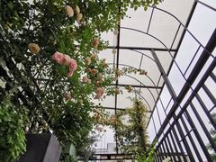 -边渡咖啡烘焙店(昙华林店)
