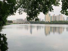 -南宁南湖公园