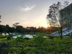 -深圳大学总医院