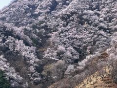 -龙泉峪长城