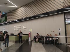 -谢列梅捷沃国际机场