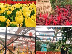 -南宫温泉水世界