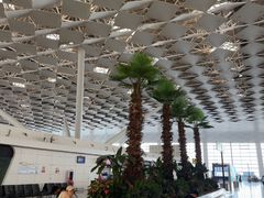 -郑州新郑国际机场-T2航站楼