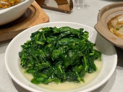 -新吉士·上海菜(浦东LCM置汇旭辉店)