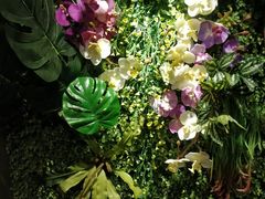 -Siam泰餐厅(水上公园店)