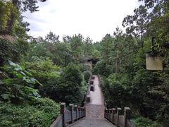 -梦姑塘文化公园