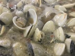 -顺德哥卜卜贝(旗舰店)