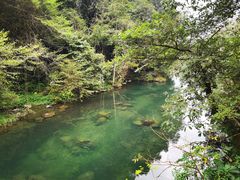 -石台牯牛降景区