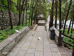 -四门塔风景区