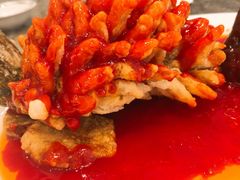 松鼠桂鱼-亢龙太子酒轩·花园店