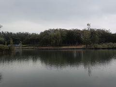 -大兴滨河森林公园