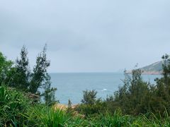 -广东惠东海龟国家级自然保护区