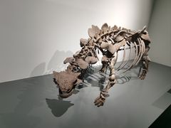 -大连自然博物馆