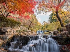 -中国茶叶博物馆(双峰馆区)