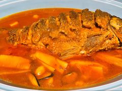 红烧黄河鲤鱼-阿五黄河大鲤鱼(纬三路店)