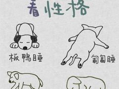 -美联众合动物医院·24h转诊中心