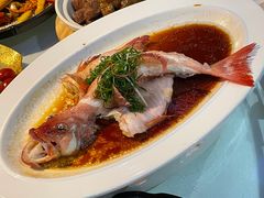 东星斑-79号渔船海鲜饭店(华强北店)