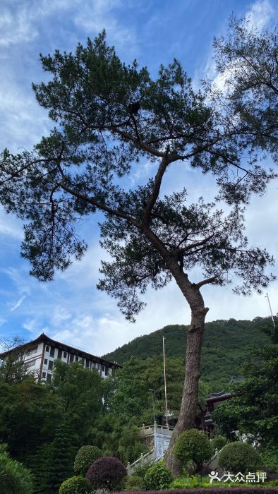 叱石风景区图片