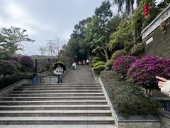-仙岳公园