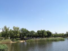 -永定河休闲森林公园