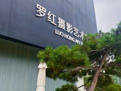 -罗红摄影艺术馆