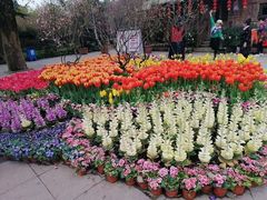 -南山植物园