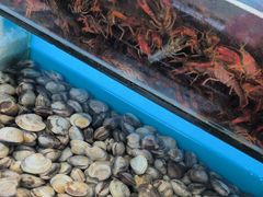 -港畔赶海蒸汽海鲜烧烤自助(仙螺岛店)