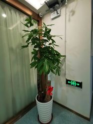 -痘院长·祛痘·皮肤管理