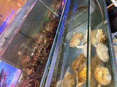 -湛江渔港·大排档(乐园路总店)
